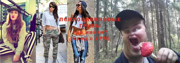 ALPHA-PVP Баксан